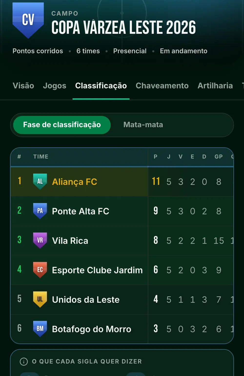 Tela do campeonato de futebol de campo no app, com o nome, as abas e a classificação